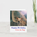 Search for border collie funny dog birthday cards Pet