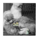 Search for black and white photo tiles Animals