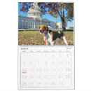 Search for a 18 calendars Animals