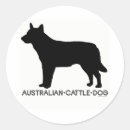 Search for cattle dog stickers Animals