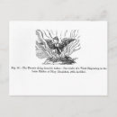 Search for ashes postcards Bird