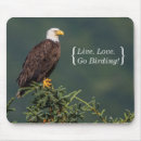 Search for bald eagle mousepads Birds of prey