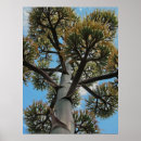 Search for agave posters Blue
