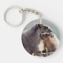 Search for marmot key rings Wildlife
