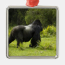 Search for mcdonalds christmas tree decorations Rwanda