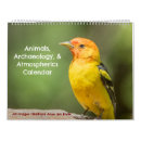 Search for mexico office supplies Birds