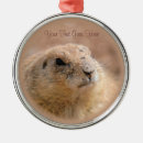 Search for rodent christmas tree decorations Cute
