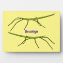 Search for insect plaques Bug