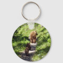 Search for bear family key rings Nature