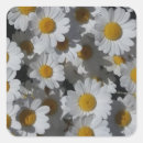 Search for white daisy stickers Pretty