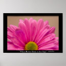 Search for gerber daisy posters Gerbera