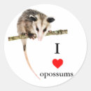 Search for opossum stickers Wildlife