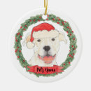 Search for terrier christmas tree decorations Pitbull