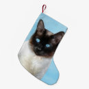 Search for siamese cat christmas stockings Kitten