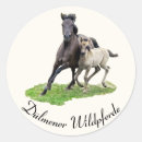 Search for wild horse stickers Animal