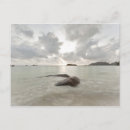 Search for seychelles postcards Outdoors