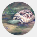 Search for tortoise stickers Green