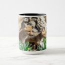 Search for fox news mugs Nature