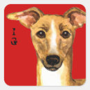 Search for greyhound stickers Iggy