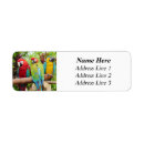 Search for macaw return address labels Animal