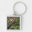 Search for love monkey key rings Friendship
