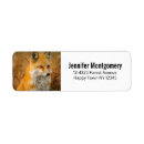 Search for fox return address labels Wild animal