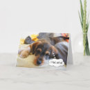 Search for sick dog get well cards Recovery