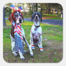 Search for german pointer stickers Funny