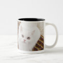 Search for sitting cat mugs Looking at camera