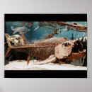 Search for dinosaur bones posters Skeleton