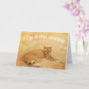 Search for funny tabby cat cards Cute