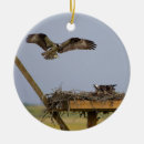 Search for birds nest christmas tree decorations Osprey