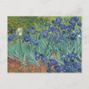 Search for irises postcards Blue