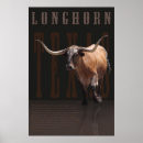 Search for longhorn cattle posters Bull