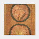 Search for anatomically magnets Aquapendente