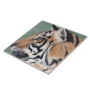 Search for tiger tiles Watercolor