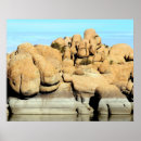 Search for watson posters Granite dells