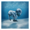 Search for manatee art Ocean