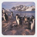 Search for bird art stickers Animal
