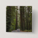 Search for road tree badges Usa