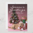Search for cap christmas cards Golden retriever