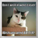 Search for inspirational cat posters Cute