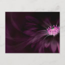 Search for abstract flowers postcards Plant