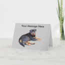 Search for working animals cards Rottweiler
