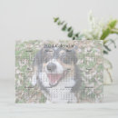 Search for cute pet photo cards Animal