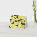 Search for primroses cards Botanical