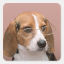Search for animal body part stickers Side view
