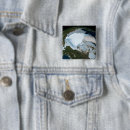 Search for part badges Planet