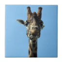 Search for giraffe tiles Animals