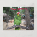 Search for viva postcards Travel